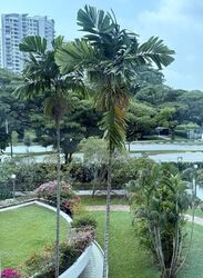 The Waterside (D15), Condominium #581938921